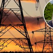 Norfolk County Council leader Kay Mason Billig (inset) has joined forces with her counterparts in Suffolk and Essex to criticise pylon plans for East Anglia