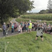 Dozens of villagers joined a protest walk over pylon plans