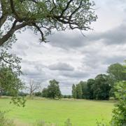 View from Lion Road in Palgrave, near Diss. A 200-acre solar farm has been approved for the village.