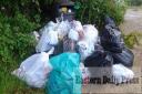 Fly-tipping like this is a 'blight' on the Norfolk countryside says a King's Lynn councillor following a successful prosecution of a man who dumped household rubbish on private land.