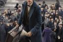 Eddie Redmayne as Newt Scamander in Fantastic Beasts and Where to Find Them. Picture: PA/WARNER BROS