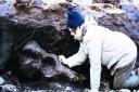 Margaret Hems pictured on the dig at West Runton beach, the site where she found the West Runton elephant bone in 1990.Picture: submitted