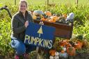 Mrs G\'s Pumpkins in Garboldisham getting ready to open for the pumpkin season. Laura Gooderham.