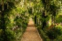 Hoe Hall is one of the secret gardens you can visit in Norfolk in June 2023