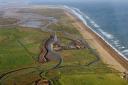 A new strategy aims to help nature in Norfolk recover