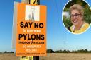 South Norfolk Council's Lisa Neal has called for the pylon consultation to be extended