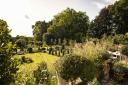 Charnwood in Brundall is new to the Norfolk National Garden Scheme (NGS) in 2024 Picture: Supplied by the NGS
