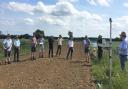Trials to improve the efficiency and sustainability of agriculture were discussed at the Diss Monitor Farm summer meeting