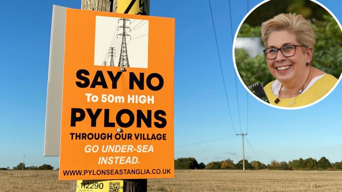 Norfolk pylon consultation blasted by South Norfolk Council 