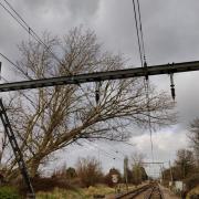 A tree on the line at Chelmsford has caused trains between London and Norwich to be cancelled.