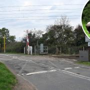 New information has suggested that as many as 100 dogs could have crossed Great Moulton level crossing with \