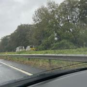 Part of the A11 is closed due to a fallen tree