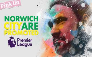 Norwich City's promotion to the Premier League has been confirmed