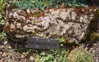 Weird Norfolk. The Oxfootstone with the imprint of the 'fairy cow's' hoof, at Oxfootstone House in Brick Kiln Lane, South Lopham. Picture: DENISE BRADLEY